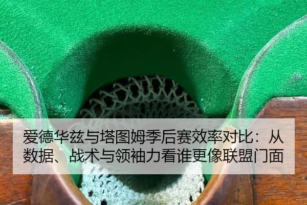 ai-de-hua-zi-yu-ta-tu-mu-ji-hou-sai-xiao-lv-dui-bi-cong-shu-ju-zhan-shu-yu-ling-xiu-li-kan-shui-geng-xiang-lian-meng-2-873.jpg